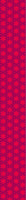 patterned-wallpaper-star-alliance-meeting