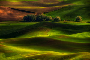 photo-wallpaper-spring-in-the-palouse