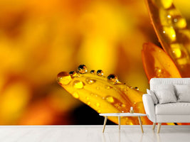 photo-wallpaper-drops-close-up