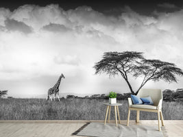 photo-wallpaper-and-i-dreamed-of-africa-x