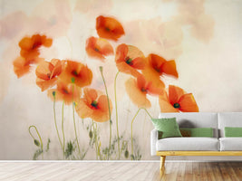 photo-wallpaper-waving-in-the-wind-x