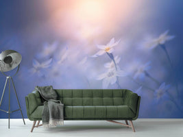 photo-wallpaper-in-the-pale-light-x