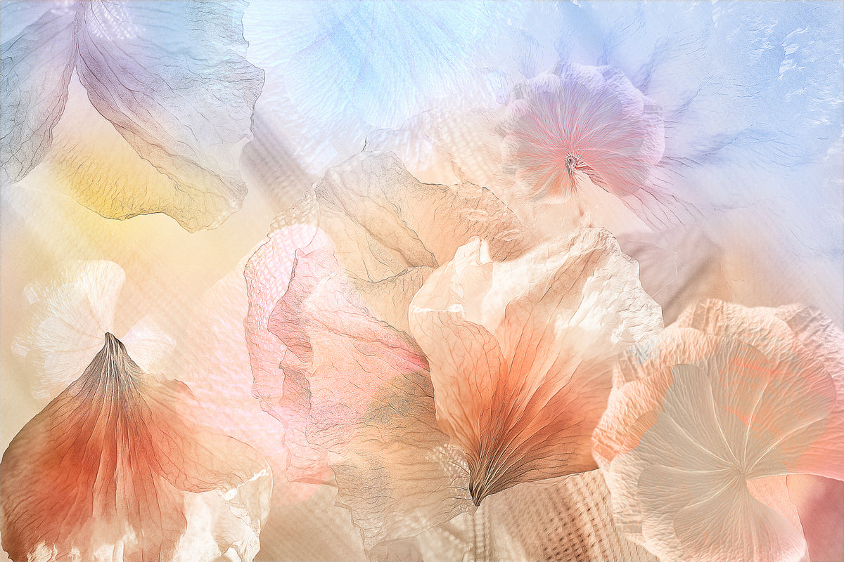 photo-wallpaper-ethereal-flowers-x