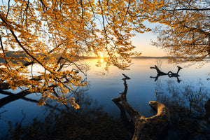 photo-wallpaper-autumn-morning-xoq