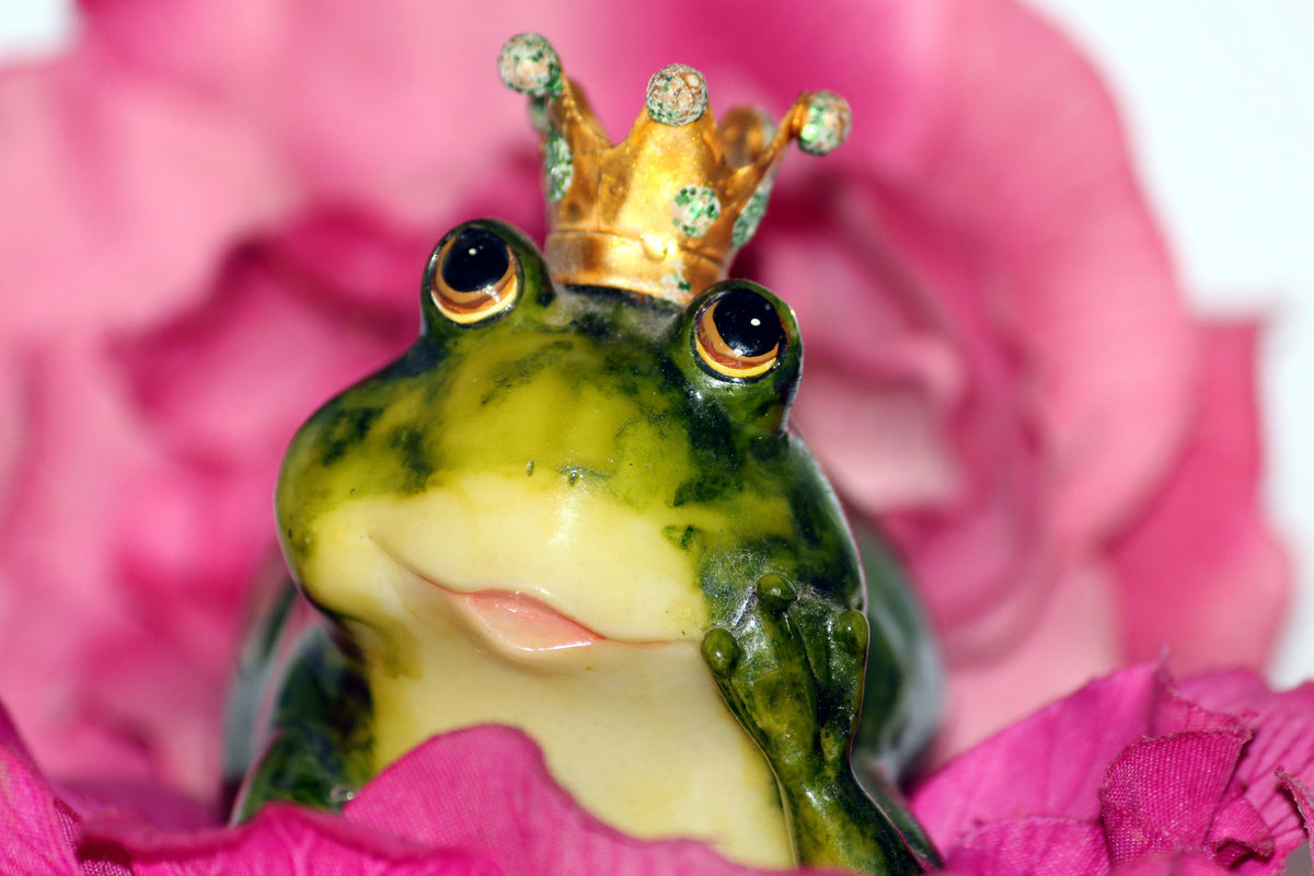 photo-wallpaper-the-frog-prince