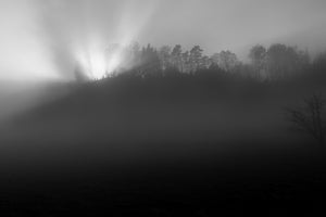 photo-wallpaper-foggy-and-sunny-weather