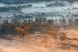 photo-wallpaper-autumnal-misty-dawn-x