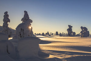 photo-wallpaper-in-lapland