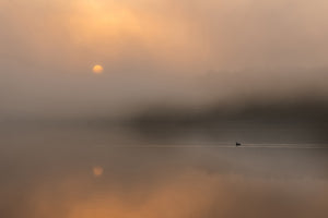 photo-wallpaper-the-loneliness-of-the-longdistance-runner-x