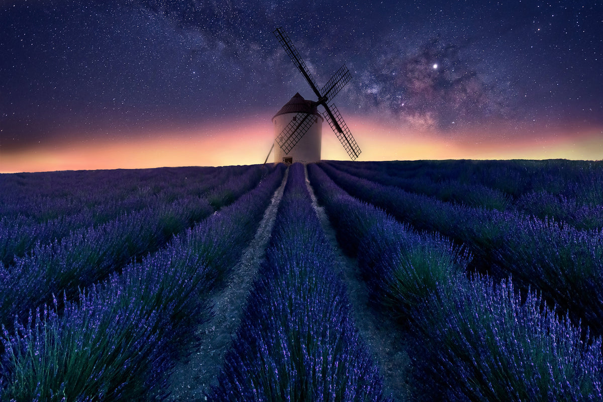 photo-wallpaper-lavender-night-x