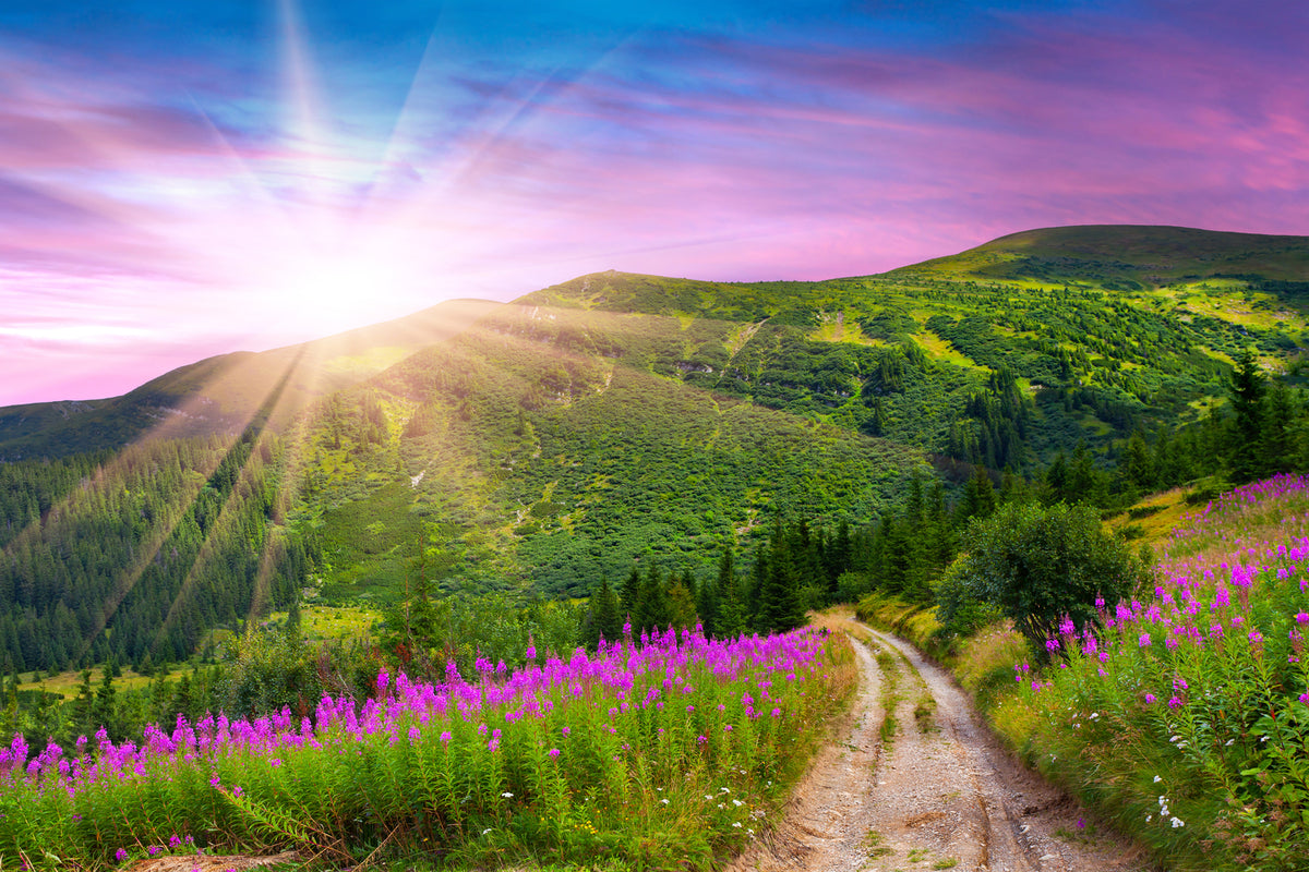 photo-wallpaper-a-summer-landscape-at-sunrise