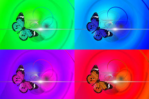 photo-wallpaper-pop-art-colorful-butterfly