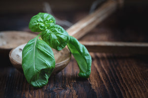 photo-wallpaper-fresh-basil-xl