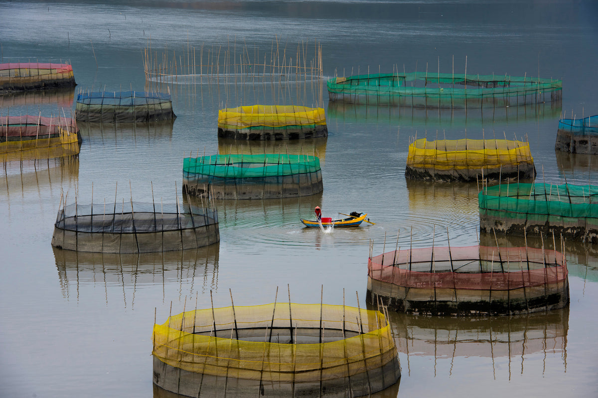 photo-wallpaper-fishing-life