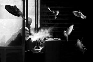 photo-wallpaper-the-man-of-pigeons