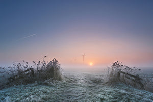 photo-wallpaper-frosty-morning-xaa