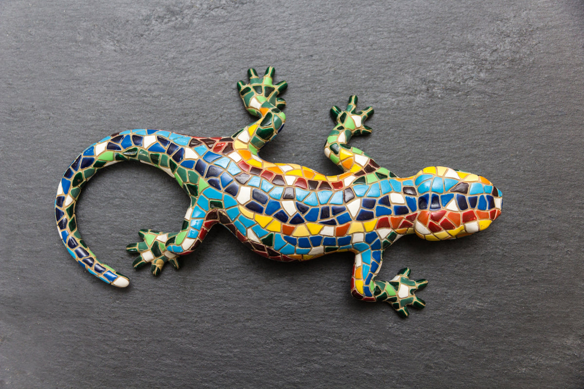 photo-wallpaper-colorful-gecko