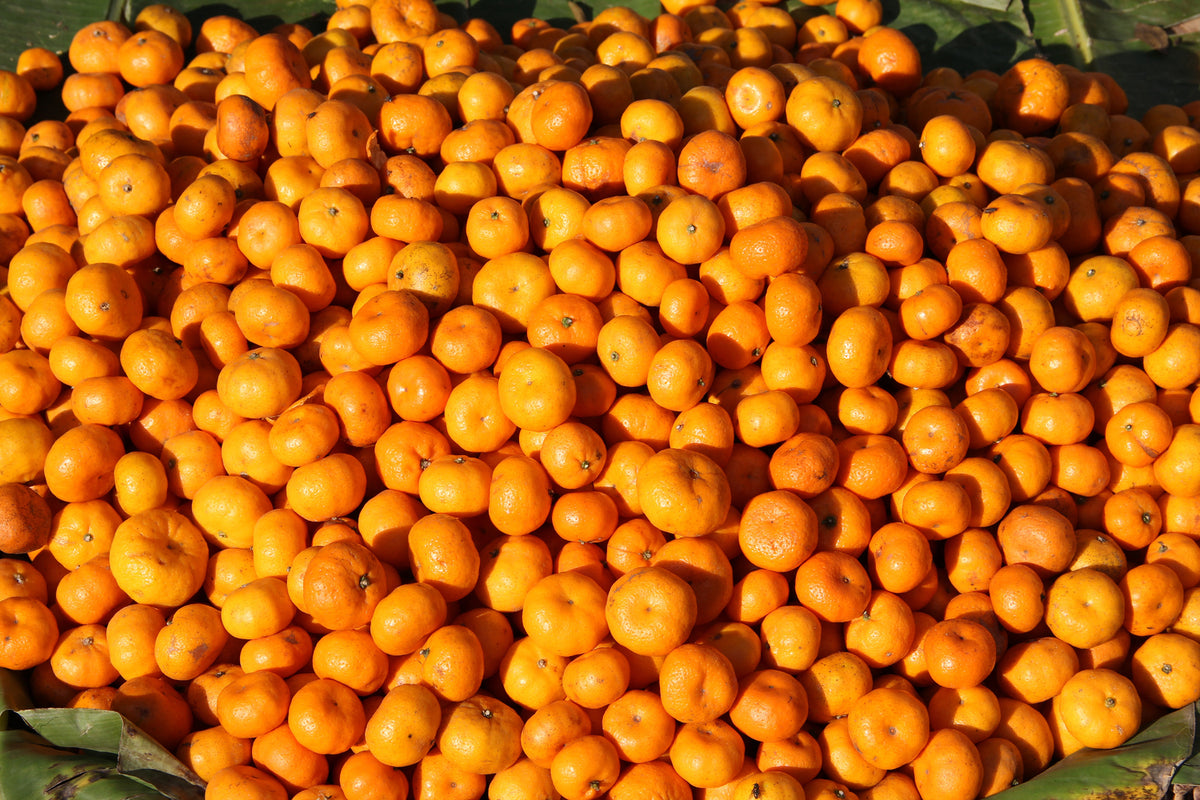 photo-wallpaper-fresh-mandarins