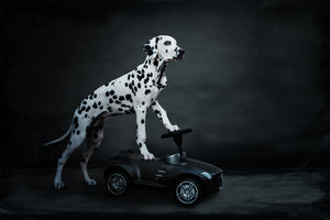 photo-wallpaper-his-bobby-car