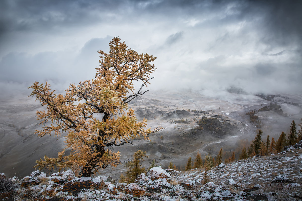 photo-wallpaper-cold-autumn-morning-in-the-mountains-x