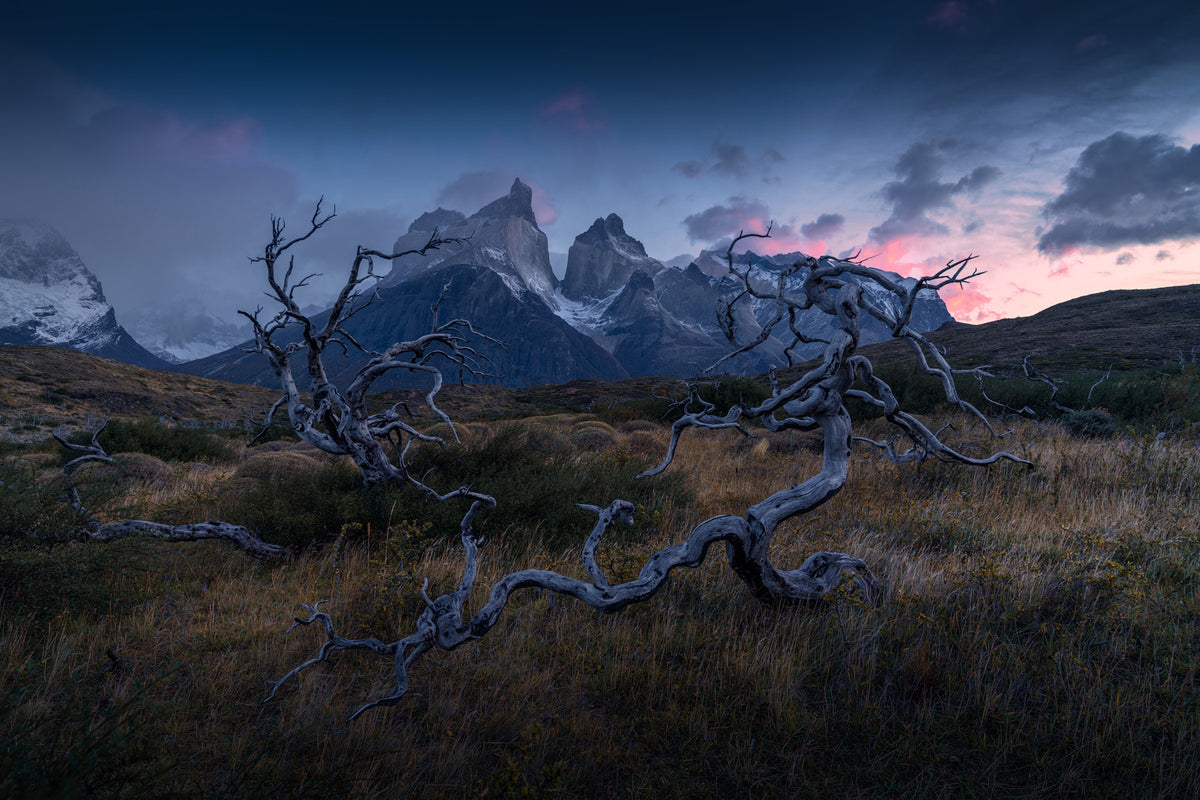 photo-wallpaper-torres-del-paine-x