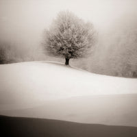 photo-wallpaper-winter-degradee