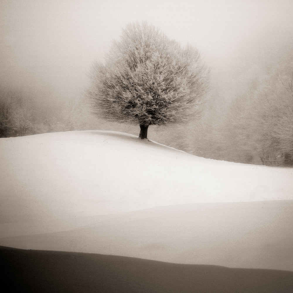 photo-wallpaper-winter-degradee