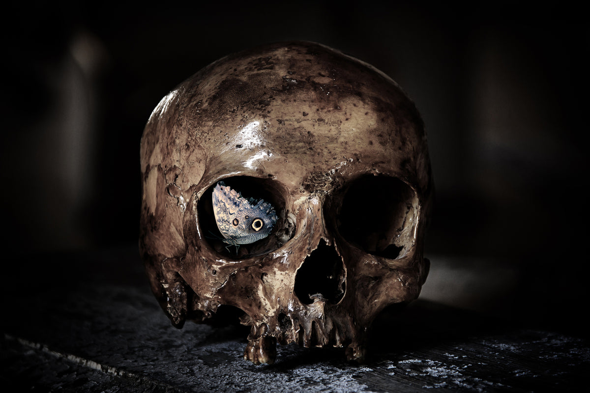 photo-wallpaper-the-skull