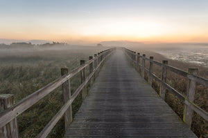 photo-wallpaper-morning-walk-xqx