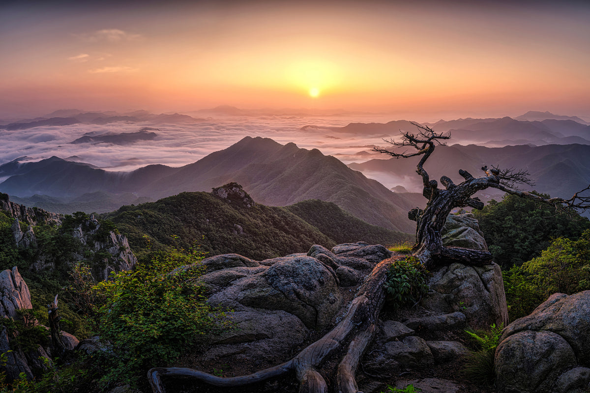 photo-wallpaper-sunrise-on-top-x