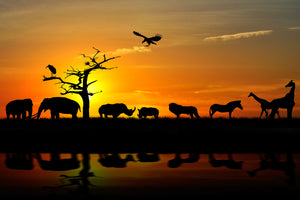 photo-wallpaper-safari-animals-at-sunset