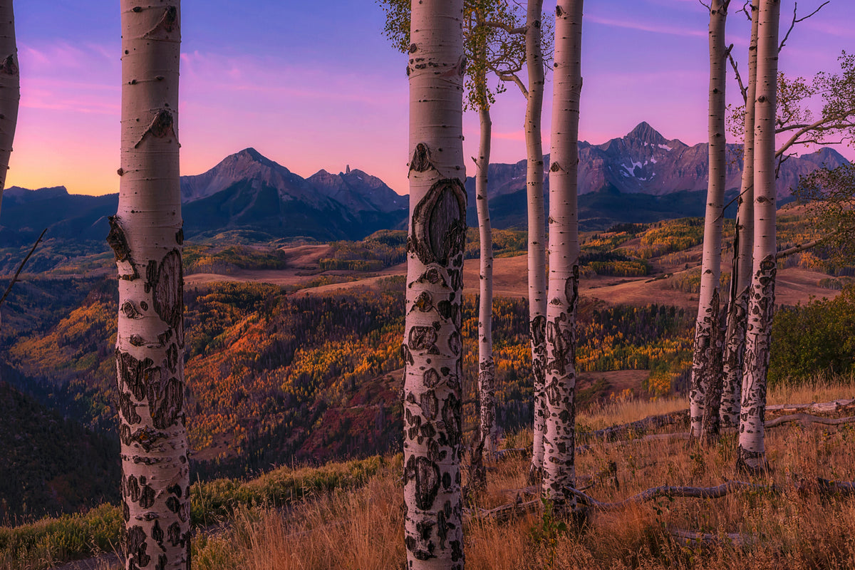 photo-wallpaper-aspen-frames-x