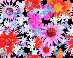 patterned-wallpaper-flower-of-summer