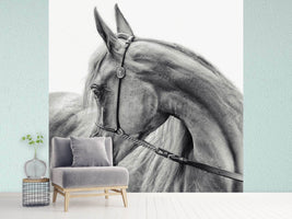 photo-wallpaper-the-arabian-horse