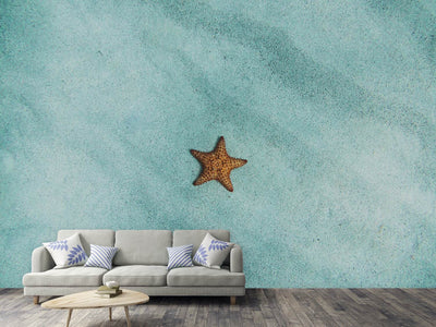 photo-wallpaper-the-little-starfish