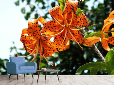 photo-wallpaper-the-wild-tiger-lilies