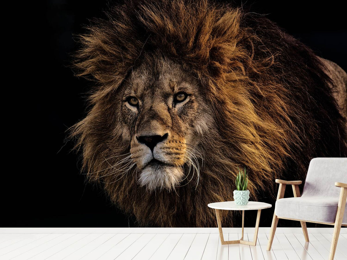 photo-wallpaper-portrait-of-a-lion