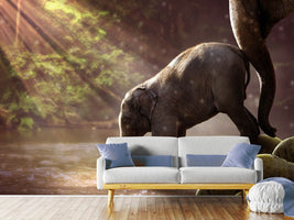 photo-wallpaper-the-elephant-baby