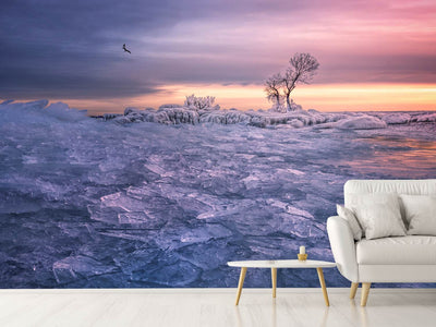 photo-wallpaper-winter-wonderland-x