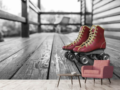 photo-wallpaper-retro-roller-skates