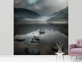 photo-wallpaper-silent-valley-x