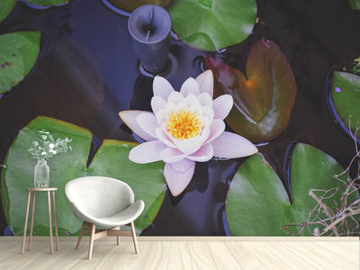 photo-wallpaper-the-lily-pad-in-white