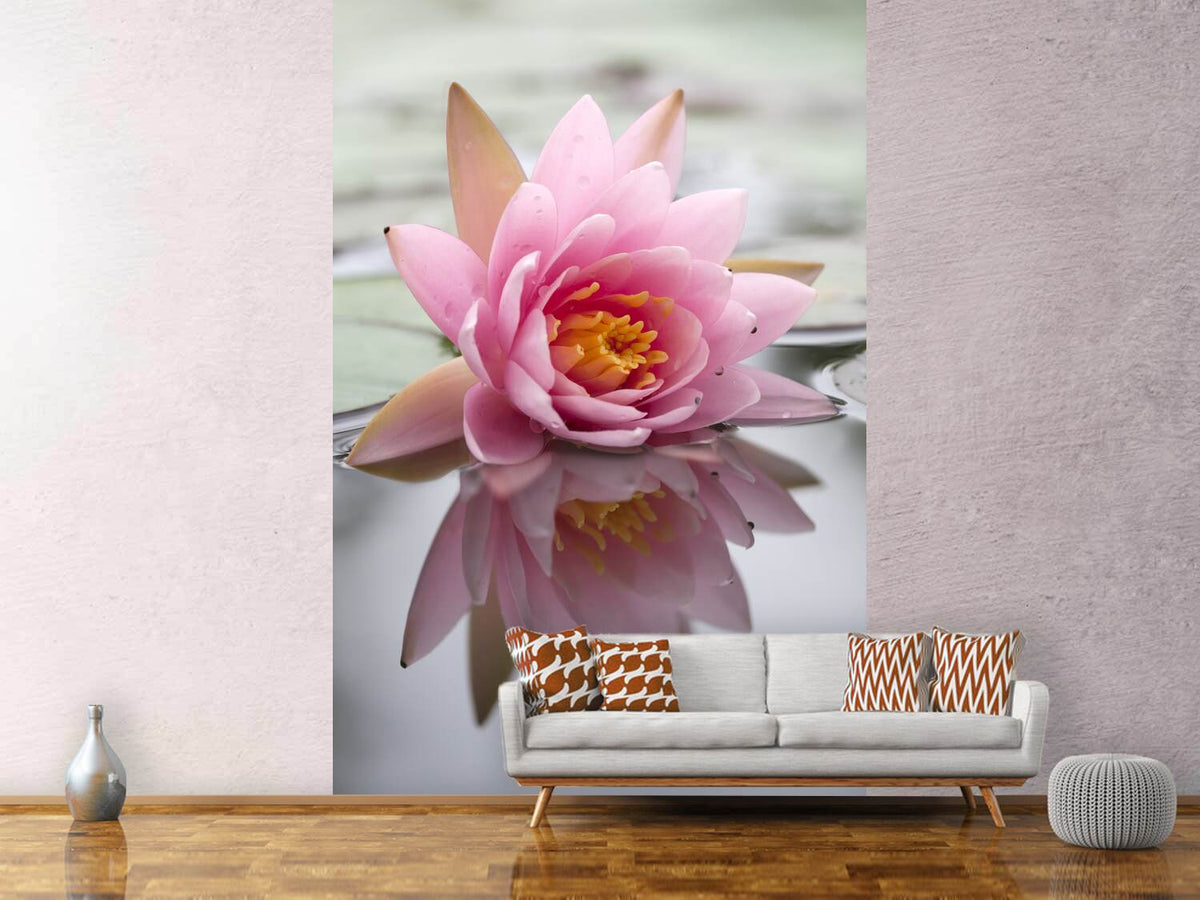 photo-wallpaper-lotus