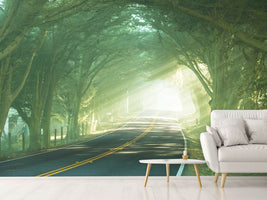 photo-wallpaper-the-avenue