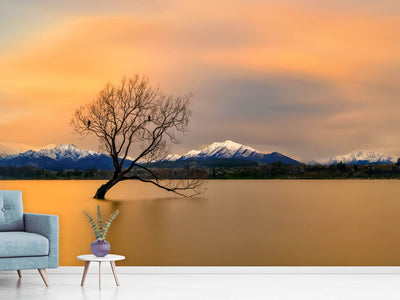 photo-wallpaper-morning-glow-of-the-lake-wanaka