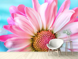 photo-wallpaper-colored-flower