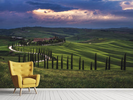 photo-wallpaper-tuscany-crete-senesi