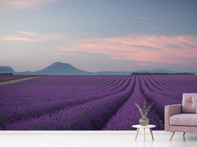 photo-wallpaper-lavender-field