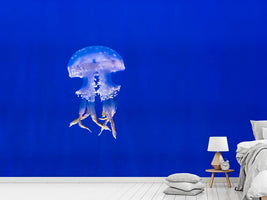 photo-wallpaper-glowing-jellyfish