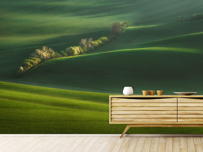 photo-wallpaper-moravian-fields-xio